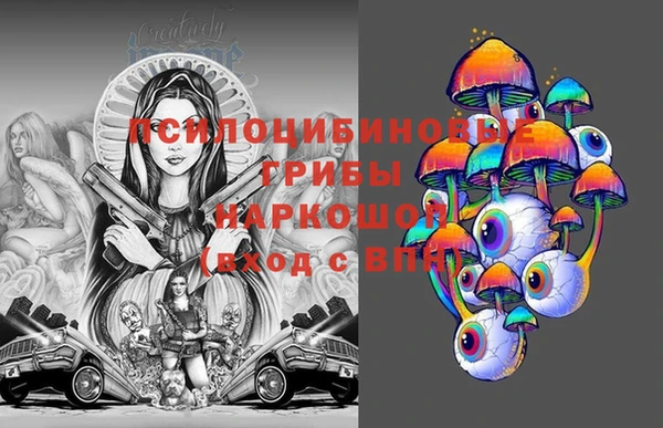 ешки Иннополис