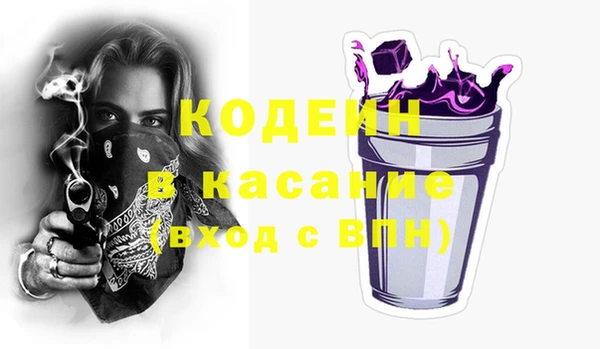 ешки Иннополис