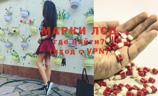каннабис Коряжма